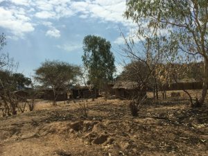 immagini Zambia Malawi Mozambico