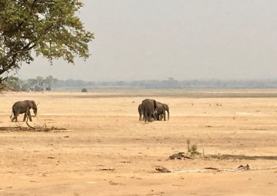 Photos Zambia Malawi Mozambico