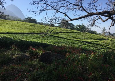 Photos Zambia Malawi Mozambico