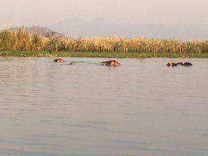 immagini Zambia Malawi Mozambico