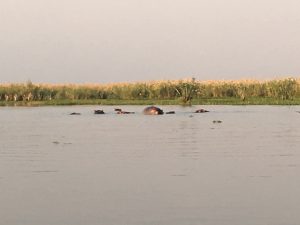 immagini Zambia Malawi Mozambico
