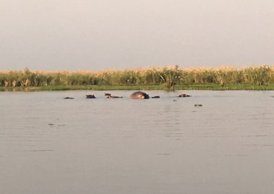 Photos Zambia Malawi Mozambico