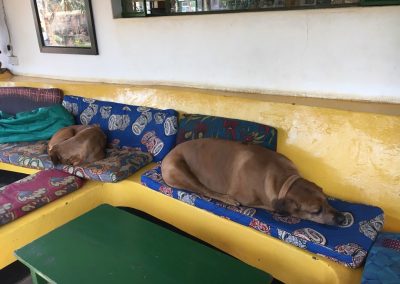 Photos Zambia Malawi Mozambico