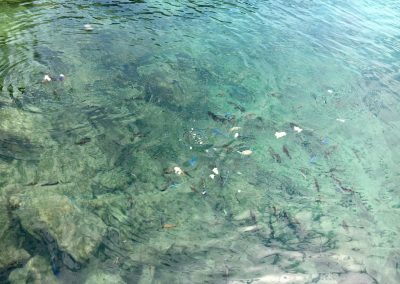 Photos Zambia Malawi Mozambico