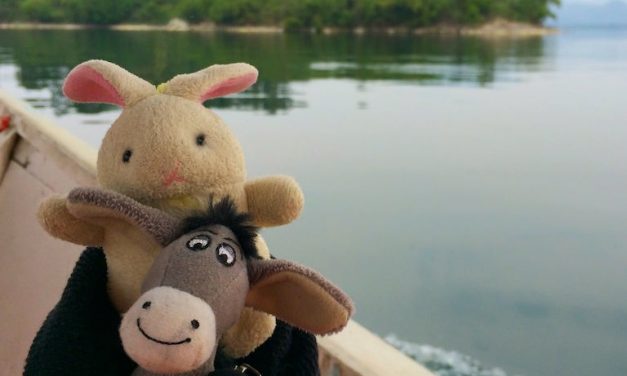 Let’s go cruising on the lake!