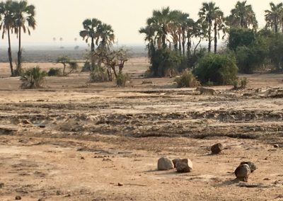 Photos Zambia Malawi Mozambico