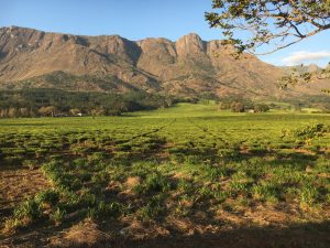 immagini Zambia Malawi Mozambico