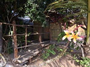 immagini Zambia Malawi Mozambico