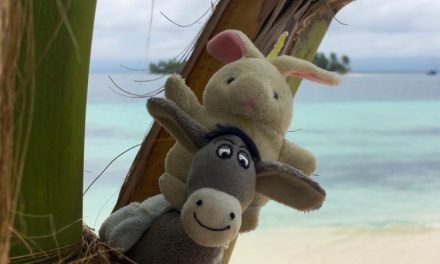 The Donkey and the Rabbit in Panama! Yayy!