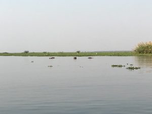 immagini Zambia Malawi Mozambico