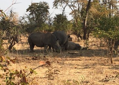 Photos Zambia Malawi Mozambico