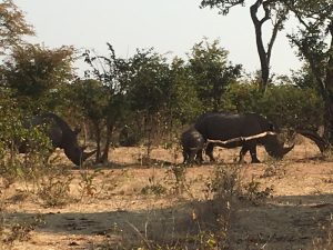 immagini Zambia Malawi Mozambico