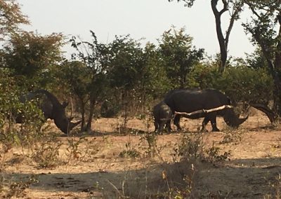 Photos Zambia Malawi Mozambico