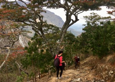 Photos Zambia Malawi Mozambico