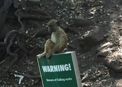 Photos Zambia Malawi Mozambico