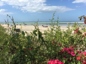 immagini Zambia Malawi Mozambico