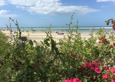 Photos Zambia Malawi Mozambico