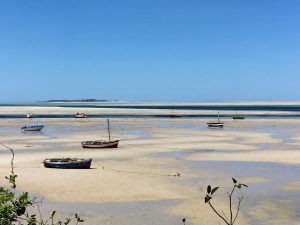 immagini Zambia Malawi Mozambico