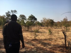 immagini Zambia Malawi Mozambico