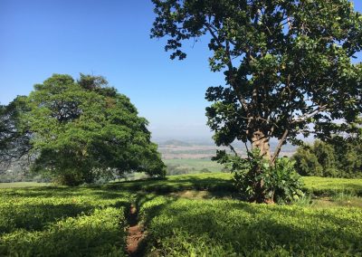 Photos Zambia Malawi Mozambico