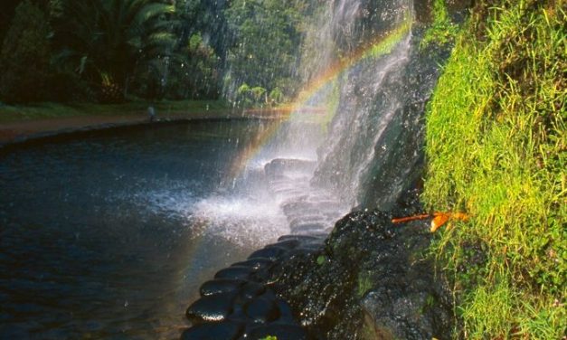 There is Beauty in the Azores Islands