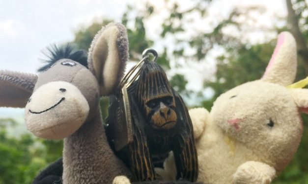 the Donkey and the Rabbit with their friend in Virunga!