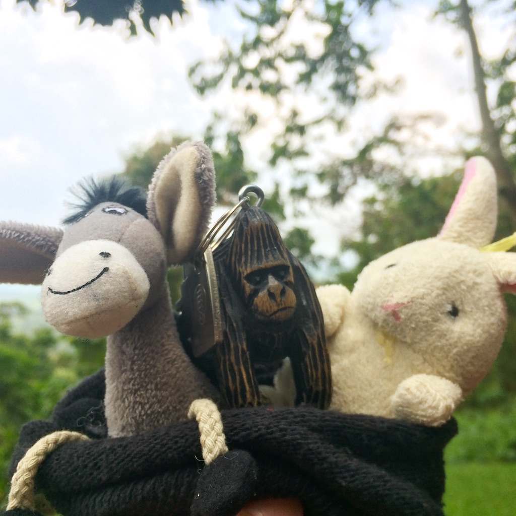 The Donkey and the Rabbit in Virunga!