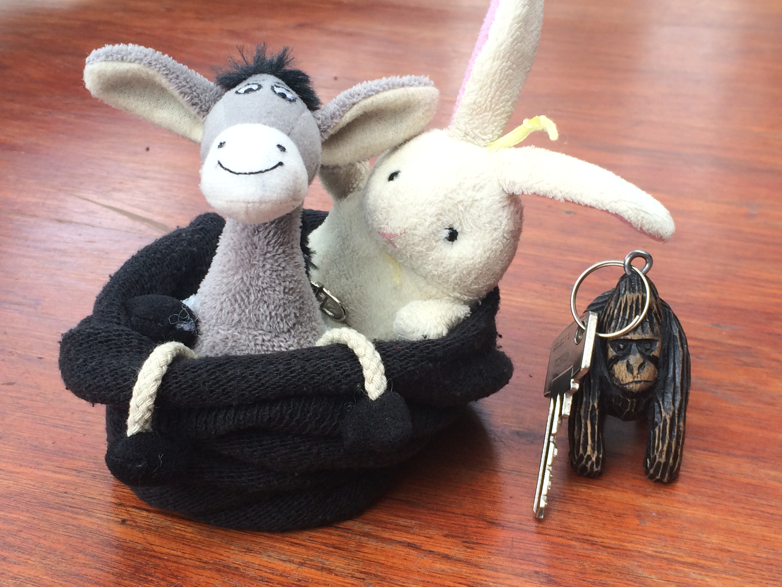 The Donkey and the Rabbit in Virunga!