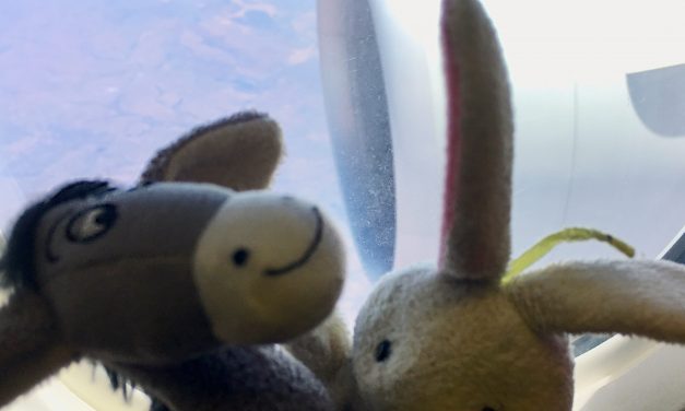 Donkey and Rabbit flying high!