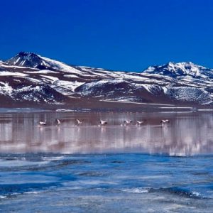 Laguna-Colorada-Bolivia