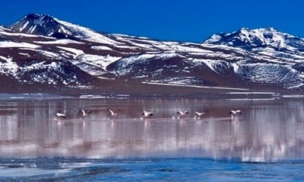 Laguna Colorada – Bolivia