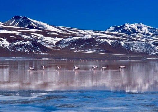 Laguna Colorada – Bolivia