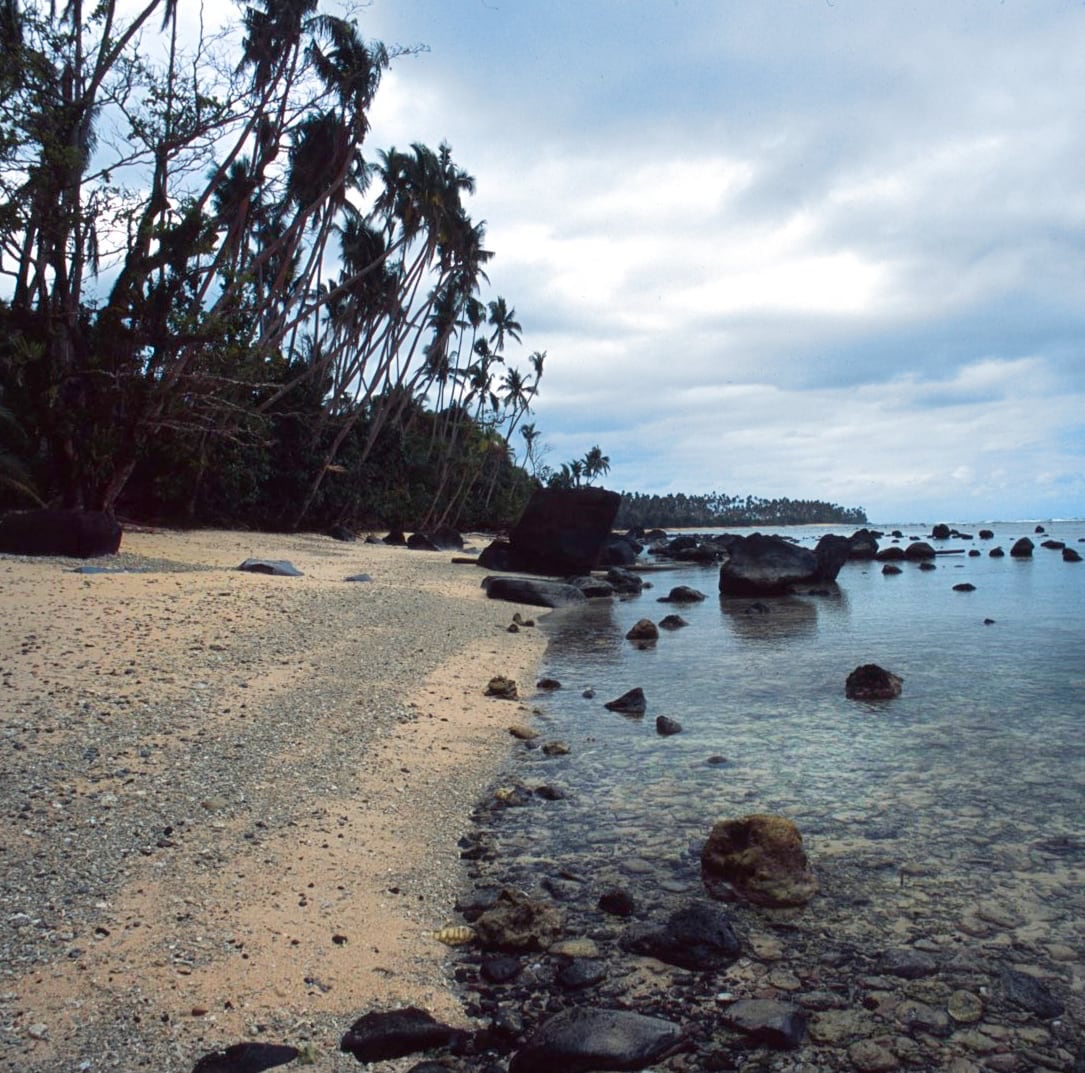 Lavena Coastal Walk - Fiji Island