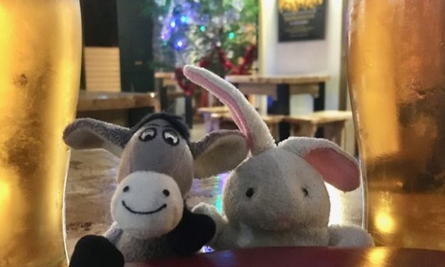 The Donkey and the Rabbit are in the Azores – Faial