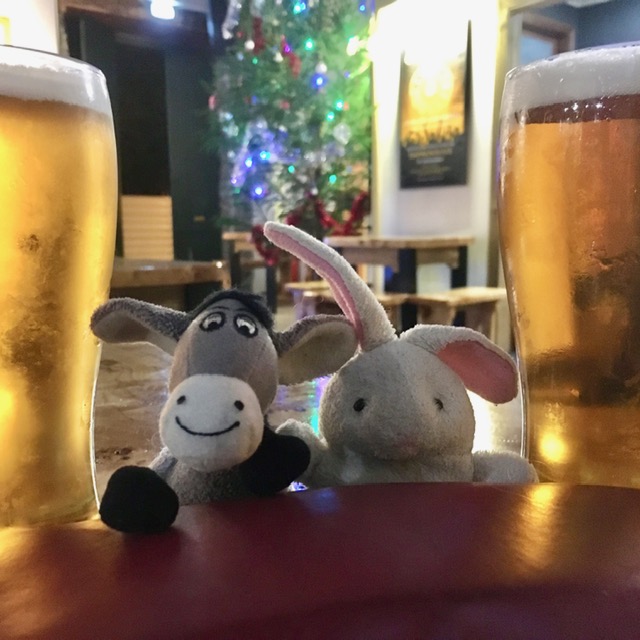 The Donkey and the Rabbit are in the Azores - Faial