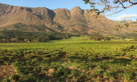 Trekking in Malawi