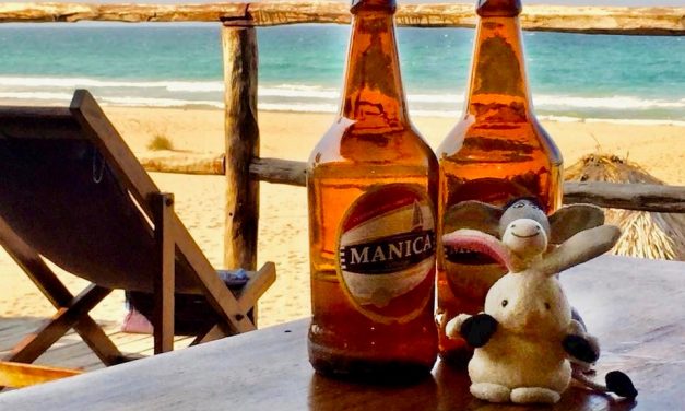 Donkey and Rabbit in Tofo Mozambique