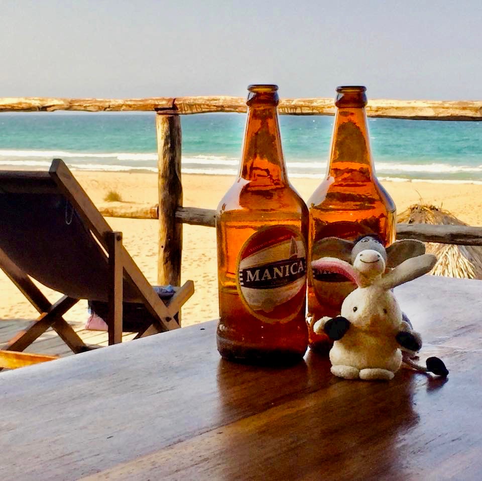 Tofo-Mozambique-DonkeyandRabbit